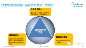 2015中國大數據營銷服務市場專題研究報告簡析 數據賦能下的營銷變革